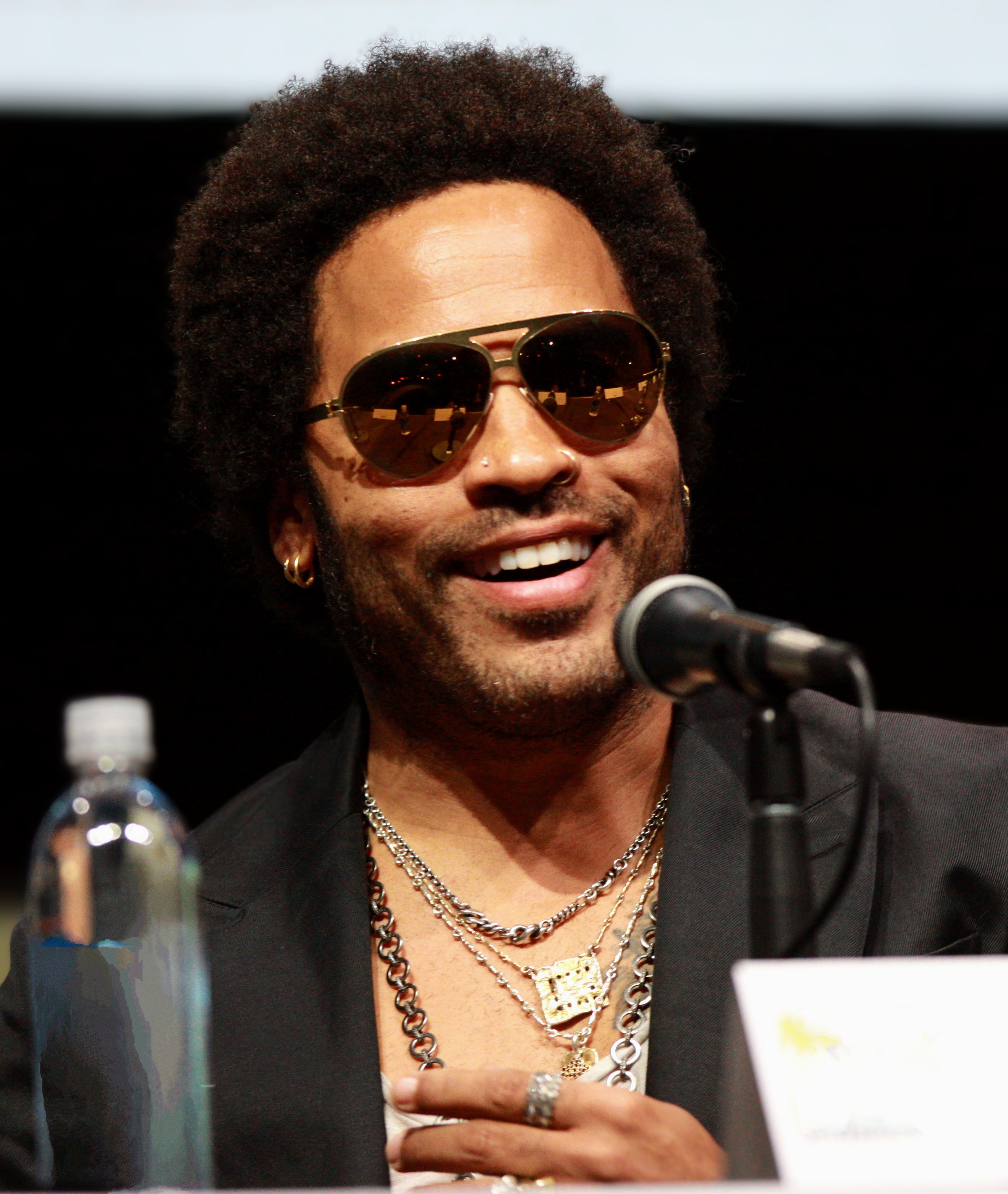 Lenny Kravitz headshot 2013